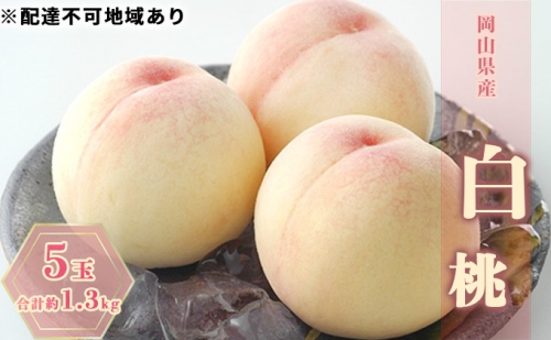  岡山県産 白桃 5玉（約1.3kg） 【配達不可：離島】