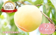 岡山県産 晴れの国おかやまの 白桃 2kg（5玉～7玉）
