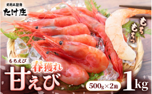 甘えび（もちえび）1kg（500g × 2袋） 【甘海老 あまえび アマエビ えび 海老 有頭 刺身 生食 海鮮 海産物 魚貝類 魚介類 新鮮 冷凍 食品 おかず 三国】 [A-1614]