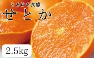 とろける食感 ジューシー柑橘 せとか 約2.5kg みかん 蜜柑 柑橘 オレンジ 果物 フルーツ 国産 和歌山県広川町 ※2025年2月上旬頃～2月下旬頃に順次発送予定【uot789】