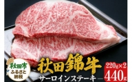 秋田錦牛 サーロインステーキ 計440g(220g×2枚) 牛肉 国産 銘柄牛肉