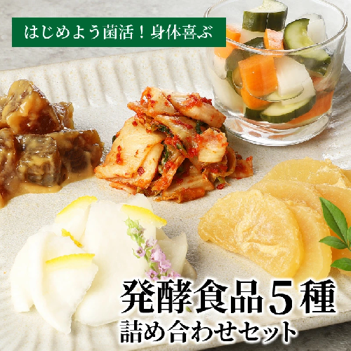 はじめよう菌活！身体喜ぶ発酵食品5種詰め合わせセット　H147-005 130988 - 愛知県碧南市