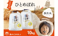 ひとめぼれ 10kg(5kg×2袋) 【無洗米】秋田市産