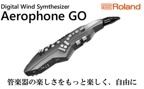 電気 管楽器 ウインドシンセサイザー Aerophone GO Roland 電気管楽器 デジタル管楽器 ウインドシンセ シンセサイザー ヘッドホン 対応 Bluetooth サックス フルート クラリネット 楽器 音楽 ローランド roland 浜松 浜松市 【配送不可：離島】 131027 - 静岡県浜松市