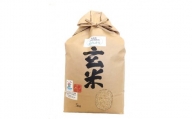 滋賀県産 低農薬有機肥料栽培 コシヒカリ 玄米5Kg 令和5年産