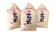 滋賀県 低農薬栽培 ミルキークイーン 玄米5kg×3袋 令和5年産