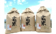 栽培期間中農薬不使用　滋賀県産　特別栽培米　コシヒカリ玄米5Kg×３袋　令和5年産