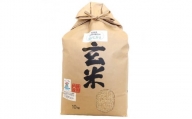 滋賀県産 低農薬有機肥料栽培 コシヒカリ 玄米10Kg 令和5年産