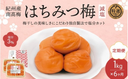 【6カ月定期便】 紀州南高梅 はちみつ梅 減塩（塩分3％）1kg(500g×2) / 梅干し 梅干 梅 中田食品 A級品 和歌山 田辺市 紀州南高梅 南高梅 はちみつ梅 減塩 塩分控えめ【nkt022-tk】 1310950 - 和歌山県田辺市