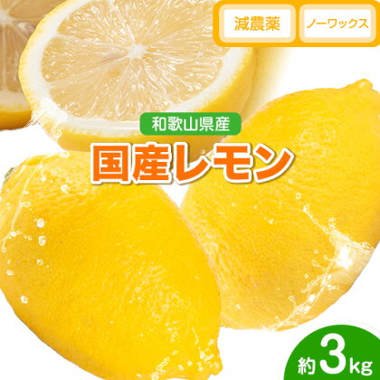 レモン 国産 レモン 3kg(L～4Lサイズ) ノーワックス 減農薬 どの坂果樹園《2025年2月上旬-5月末頃出荷》 和歌山県 日高町 レモン れもん 檸檬 旬 果物 フルーツ 柑橘 産地直送 送料無料 1311455 - 和歌山県日高町