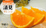 【先行予約】秀優品  清見オレンジ  3kg 【S～３Lサイズ混合】【2025年3月中旬から4月中旬頃に順次発送】/みかん 清見 和歌山 フルーツ 有田 果物 オレンジ 甘い ジューシー