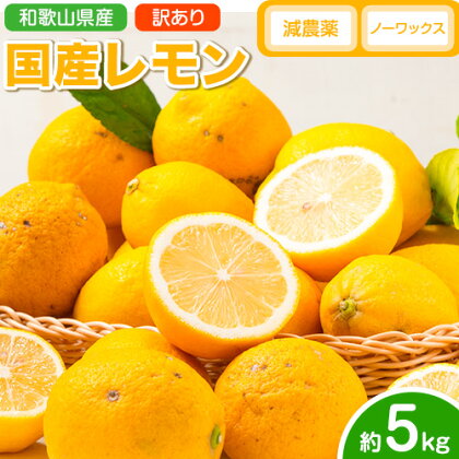 レモン 訳あり 国産 レモン 5kg (サイズ混合) ノーワックス 減農薬 どの坂果樹園《2026年2月上旬-5月末頃出荷》 和歌山県 日高町 レモン れもん 檸檬 家庭用 旬 新鮮 果物 柑橘 フルーツ 訳あり 大容量 Lemon lemon 送料無料
 1311498 - 和歌山県日高町
