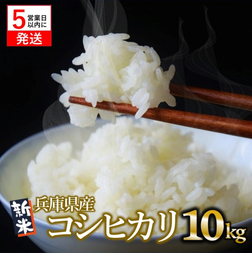 【令和６年産 コシヒカリ】白米10kg（10kg×1袋）2024年産【５営業日以内に発送】(19-37)米 お米 米10kg お米10kg 兵庫県産 こしひかり コシヒカリ 西脇市産 ５営業日以内発送 令和６年産 R６年産 2024年産 年内配送 年内発送 即納 精米 1311507 - 兵庫県西脇市