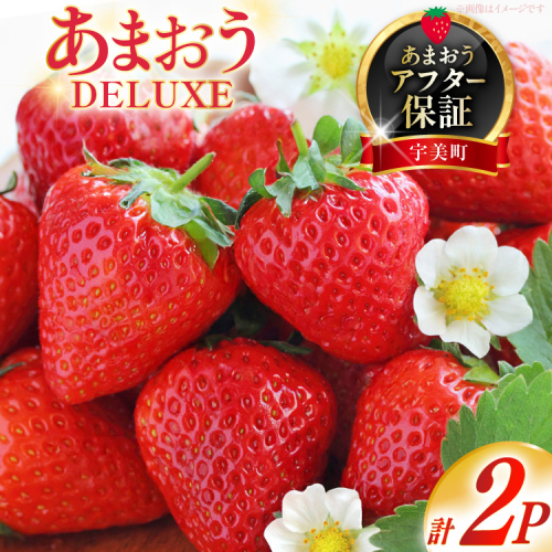 【期間限定発送】 いちご あまおう デラックス 2p [THE FARM_strawberry 福岡県 宇美町 um40azo780000] イチゴ 苺 フルーツ 果実 甘い 小分け 131162 - 福岡県宇美町