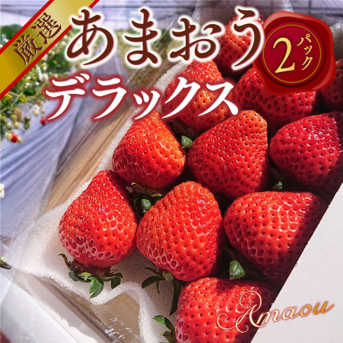 あまおうデラックス（2パック）先行予約　※2025年2月上旬～4月上旬にかけて順次出荷予定　MY001 131162 - 福岡県宇美町