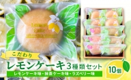 菓子 詰め合わせ こだわりレモンケーキ3種類セット（10個入り）/菓子 スイーツ フルーツ/富山県射水市