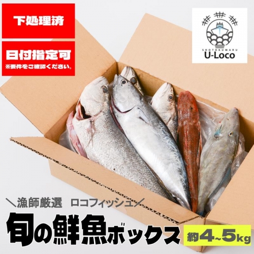 漁師厳選！ロコフィッシュ(地魚) 下処理済 鮮魚 ボックス(約4～5kg) 1312027 - 鹿児島県肝付町