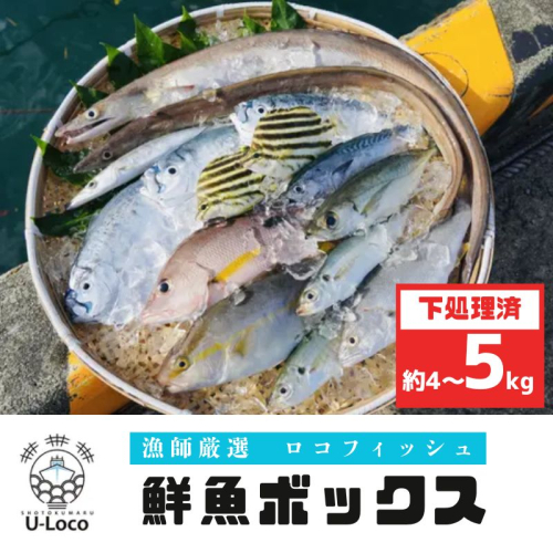 漁師厳選！ロコフィッシュ(地魚) 下処理済 鮮魚 ボックス(約4～5kg) 1312027 - 鹿児島県肝付町