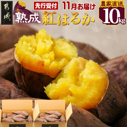 先行受付!【11月お届け】【農家直送】山下農園　熟成紅はるか 10kg_12-I701-11 1312110 - 宮崎県都城市