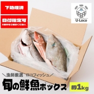 漁師厳選！ロコフィッシュ(地魚) 下処理済 鮮魚 ボックス(約1kg)