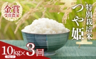 【定期便3回】 特別栽培米つや姫5kg×2袋 F2Y-3853