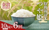 【定期便6回】 特別栽培米つや姫5kg×2袋 F2Y-3854