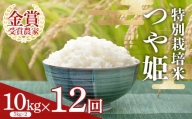 【定期便12回】 特別栽培米つや姫5kg×2袋 F2Y-3855