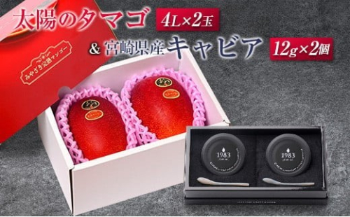 【令和9年発送】太陽のタマゴ(4L×2玉)と宮崎県産キャビア12g×2個セット 1312263 - 宮崎県宮崎県庁
