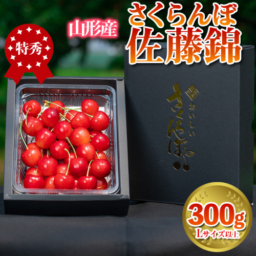 さくらんぼ 「佐藤錦」 300g 特秀品 Lサイズ以上 山形産【令和7年産先行予約】 FS24-032 1312274 - 山形県山形市