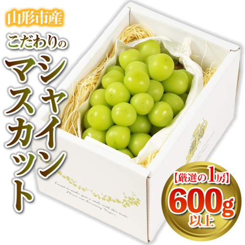 【厳選の1房】こだわりの シャインマスカット 600g以上 山形市産 (9月中旬～10月上旬順次発送) 【令和7年産先行予約】FS24-543 1312312 - 山形県山形市