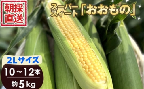 No.265 ［坂東市産］朝採り直送とうもろこし スーパースィート「おおもの」2L 10本～12本 5kg ／ トウモロコシ 朝どり 新鮮 茨城県 特産品 1312315 - 茨城県坂東市