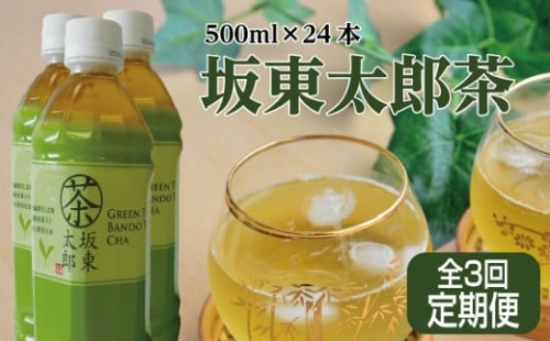 No.715 【全3回定期便】坂東太郎茶（500ml×24本）×3回 ／ オリジナル おちゃ 飲み物 茨城県 1312316 - 茨城県坂東市