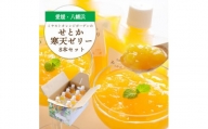 高級柑橘せとか寒天ゼリーセット8本 ミヤモトオレンジガーデン＜C25-27＞【1502269】