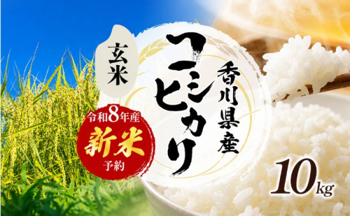 令和8年産　新米「コシヒカリ」10kg（玄米）  お米 10kg  1312815 - 香川県東かがわ市