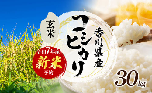令和7年産 新米「コシヒカリ」30kg(玄米)お米 30kg 1312816 - 香川県東かがわ市