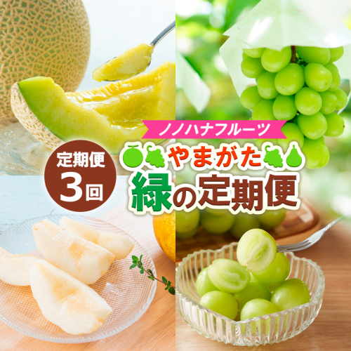 【定期便3回】ノノハナフルーツ やまがた緑の定期便【令和8年産先行予約】 FS24-016 1312820 - 山形県山形市