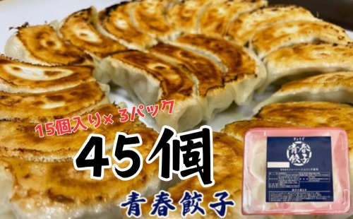 餃子専門店青春餃子のもちもち肉汁餃子15個入り×3パック 45個 1312879 - 茨城県常総市