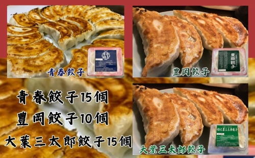 餃子専門店青春餃子 餃子食べ比べセット 3種40個 1312883 - 茨城県常総市