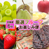 【定期便６回】厳選フルーツお楽しみ FZ25-990