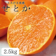 とろける食感 ジューシー柑橘 せとか 約2.5kg みかん 蜜柑 柑橘 オレンジ 果物 フルーツ 国産 和歌山県広川町 ※2025年2月上旬頃～2月下旬頃に順次発送予定