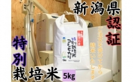 新潟県南魚沼　しおざわ産特別栽培米コシヒカリ　5kg