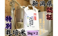 新潟県南魚沼　しおざわ産特別栽培米コシヒカリ　10kg
