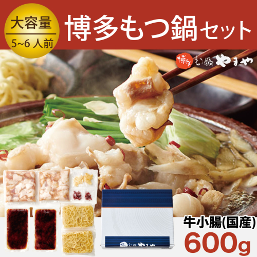 もつ鍋 博多もつ鍋やまや もつ鍋セット あごだし醤油味 5～6人前 ちゃんぽん麺 薬味付 [やまやコミュニケーションズ 福岡県 宇美町 um40azo860004] もつ鍋セット モツ鍋 国産 牛モツ 牛ホルモン