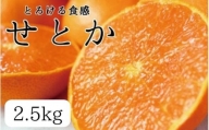 とろける食感 ジューシー柑橘 せとか 約2.5kg みかん 蜜柑 柑橘 オレンジ 果物 フルーツ 国産 和歌山県広川町 ※2025年2月上旬頃～2月下旬頃に順次発送予定