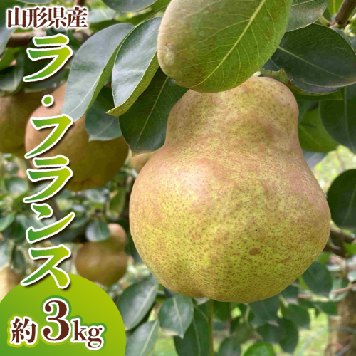 山形県産 ラ・フランス 秀品 約3kg(6～12玉) FY24-027 1313612 - 山形県山形市