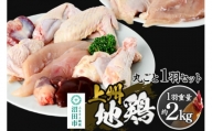 【地鶏肉】上州地鶏1羽分セット（1羽重量約2kg）鶏ガラスープ付き 自然の恵みファームズ