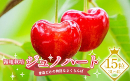 【青森県独自のさくらんぼ新品種】ジュノハートは家庭の幸福をつかさどるローマ神話の女神「Juno」と果実がハート形であることから名づけられました。甘みの強い「紅秀峰」に、果実が大きい「サミット」を交配。