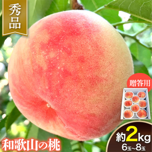 【贈答用】 秀品 和歌山の桃 約2kg (6玉～8玉) m&n果実園 【配送不可地域あり】 《6月中旬-7月下旬頃出荷》和歌山県 紀の川市 モモ 桃 もも 旬 白鳳 日川白鳳 なつっこ 果物 フルーツ 贈り物 ギフト 1313762 - 和歌山県紀の川市