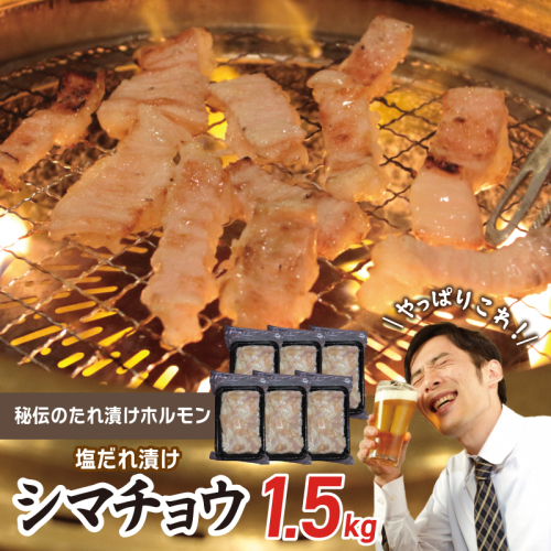 【焼肉屋の定番】シマチョウ 塩だれ漬け 1.5kg【小分け 250g×6 牛肉 ホルモン 焼肉用】 010B1516 1313815 - 大阪府泉佐野市