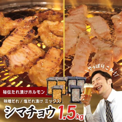 【焼肉屋の定番】シマチョウ 塩/味噌だれ漬け 1.5kg【小分け 250g×6 牛肉 ホルモン 焼肉用 食べ比べ】 G1767 1313817 - 大阪府泉佐野市